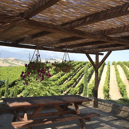 Contado San Lorenzo B&B And Wine Castilenti Exterior foto